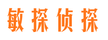 友谊市侦探调查公司